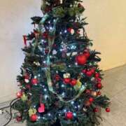 ヒメ日記 2024/12/14 16:45 投稿 しおり 奥様鉄道69 東京店