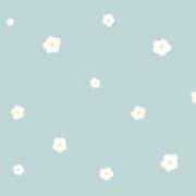 ヒメ日記 2025/03/21 11:00 投稿 ひかり 西船人妻花壇