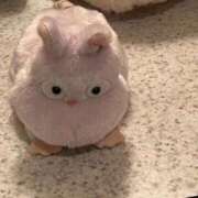 ヒメ日記 2026/07/30 02:26 投稿 うゆ（未経験♡ロリメイド） ソープランド メイド館 ラ・メイド