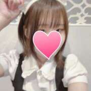 ヒメ日記 2025/02/01 10:31 投稿 みづき アリスカフェ