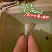 ヒメ日記 2024/12/24 12:51 投稿 いちは 21世紀