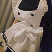 ヒメ日記 2026/03/31 17:31 投稿 いちは 21世紀