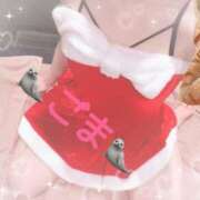 ヒメ日記 2024/12/21 08:59 投稿 ごま アラカルト