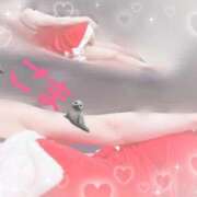 ヒメ日記 2024/12/23 06:00 投稿 ごま アラカルト