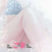 ヒメ日記 2025/04/07 10:56 投稿 ごま アラカルト