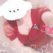 ヒメ日記 2025/04/22 12:32 投稿 ごま アラカルト