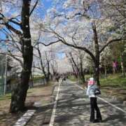 ヒメ日記 2025/04/10 18:56 投稿 亜理紗(ありさ) 高崎回春性感SPA