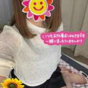 ヒメ日記 2025/04/16 11:34 投稿 亜理紗(ありさ) 高崎回春性感SPA