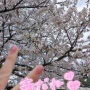 ヒメ日記 2025/04/01 10:03 投稿 うみ モアグループ南越谷人妻花壇