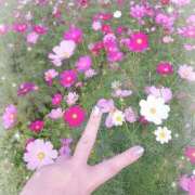 ヒメ日記 2025/10/25 05:18 投稿 うみ モアグループ南越谷人妻花壇