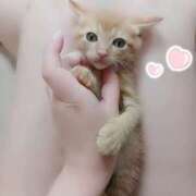 うみ 家族が増えました🐾💕 モアグループ南越谷人妻花壇