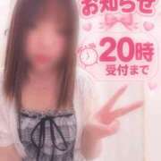 ヒメ日記 2026/09/12 11:17 投稿 うみ モアグループ南越谷人妻花壇
