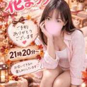 ヒメ日記 2026/09/19 11:07 投稿 うみ モアグループ南越谷人妻花壇