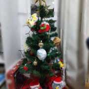 ヒメ日記 2024/12/11 08:27 投稿 ことの 川越おかあさん