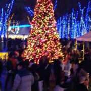 ヒメ日記 2024/12/15 17:37 投稿 ことの 川越おかあさん