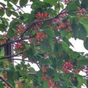 ヒメ日記 2025/05/02 08:15 投稿 ことの 川越おかあさん