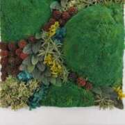 ヒメ日記 2025/05/13 09:58 投稿 ことの 川越おかあさん