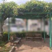 ヒメ日記 2025/05/20 08:33 投稿 ことの 川越おかあさん