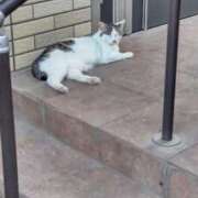 ヒメ日記 2025/06/17 19:03 投稿 ことの 川越おかあさん