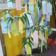 ヒメ日記 2025/07/01 12:18 投稿 ことの 川越おかあさん