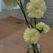 ヒメ日記 2025/07/07 08:21 投稿 ことの 川越おかあさん