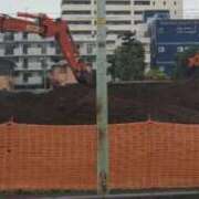 ヒメ日記 2025/07/11 10:07 投稿 ことの 川越おかあさん