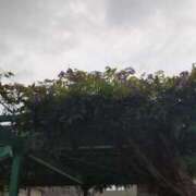 ヒメ日記 2025/07/16 13:24 投稿 ことの 川越おかあさん