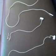 ヒメ日記 2025/07/18 10:13 投稿 ことの 川越おかあさん