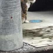 ヒメ日記 2025/08/02 09:06 投稿 ことの 川越おかあさん