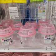 ヒメ日記 2025/08/02 15:42 投稿 ことの 川越おかあさん