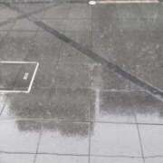 ヒメ日記 2025/08/06 14:52 投稿 ことの 川越おかあさん