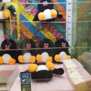 ヒメ日記 2025/08/15 20:13 投稿 ことの 川越おかあさん