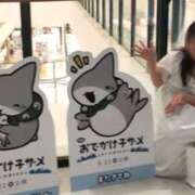 ヒメ日記 2025/08/29 08:42 投稿 ことの 川越おかあさん