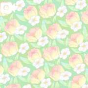 ヒメ日記 2025/10/13 20:08 投稿 ことの 川越おかあさん