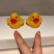 ヒメ日記 2025/10/14 16:07 投稿 ことの 川越おかあさん