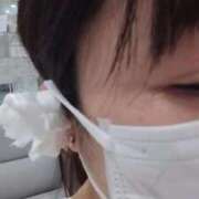 ヒメ日記 2025/11/27 17:18 投稿 ことの 川越おかあさん