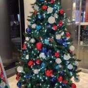 ヒメ日記 2025/12/01 17:38 投稿 ことの 川越おかあさん