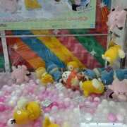 ヒメ日記 2025/12/02 12:58 投稿 ことの 川越おかあさん