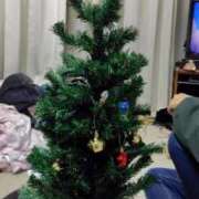 ヒメ日記 2025/12/07 19:03 投稿 ことの 川越おかあさん