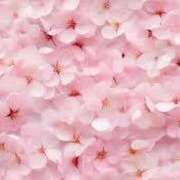 ヒメ日記 2024/12/10 14:31 投稿 ことの 西川口おかあさん