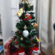 ヒメ日記 2024/12/11 08:41 投稿 ことの 西川口おかあさん