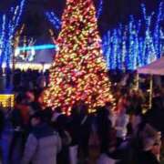 ヒメ日記 2024/12/15 17:51 投稿 ことの 西川口おかあさん