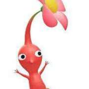 ヒメ日記 2025/03/07 16:41 投稿 ことの 西川口おかあさん