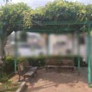 ヒメ日記 2025/05/20 09:02 投稿 ことの 西川口おかあさん