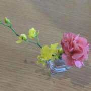 ヒメ日記 2025/05/29 10:51 投稿 ことの 西川口おかあさん