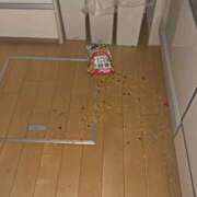 ヒメ日記 2025/06/23 19:21 投稿 ことの 西川口おかあさん