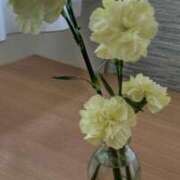 ヒメ日記 2025/07/07 08:31 投稿 ことの 西川口おかあさん