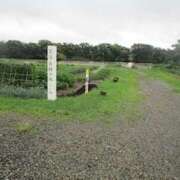 ヒメ日記 2025/07/09 11:45 投稿 ことの 西川口おかあさん