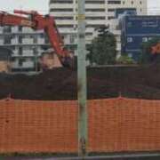 ヒメ日記 2025/07/11 10:21 投稿 ことの 西川口おかあさん