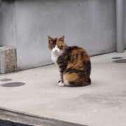 ヒメ日記 2025/07/14 17:21 投稿 ことの 西川口おかあさん